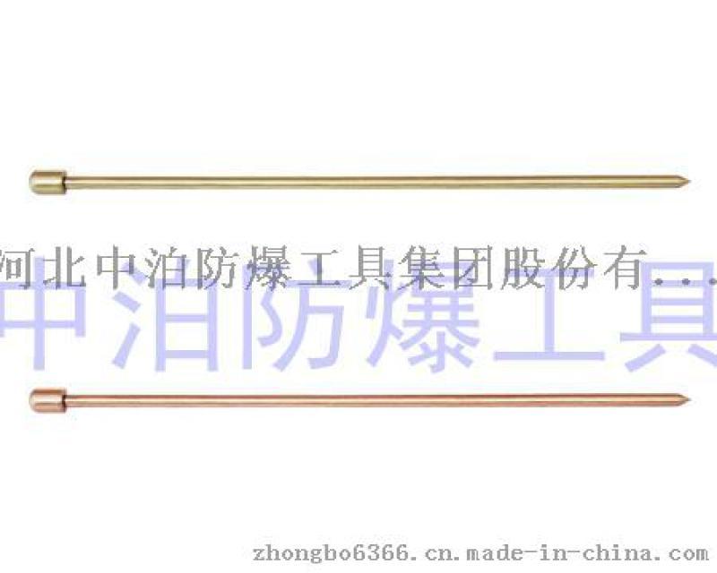 中泊防爆供应高档防爆听针